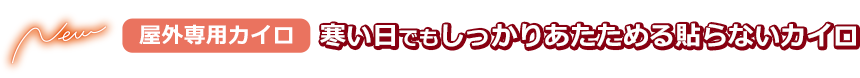 寒い日でもしっかりあたためる貼らないカイロ